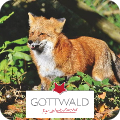 Fuchs mit Gottwald Logo